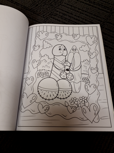 Hverdagsdiller, penismalebog for voksne